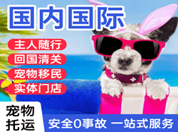 萨尔图航空快递国际宠物托运 【国